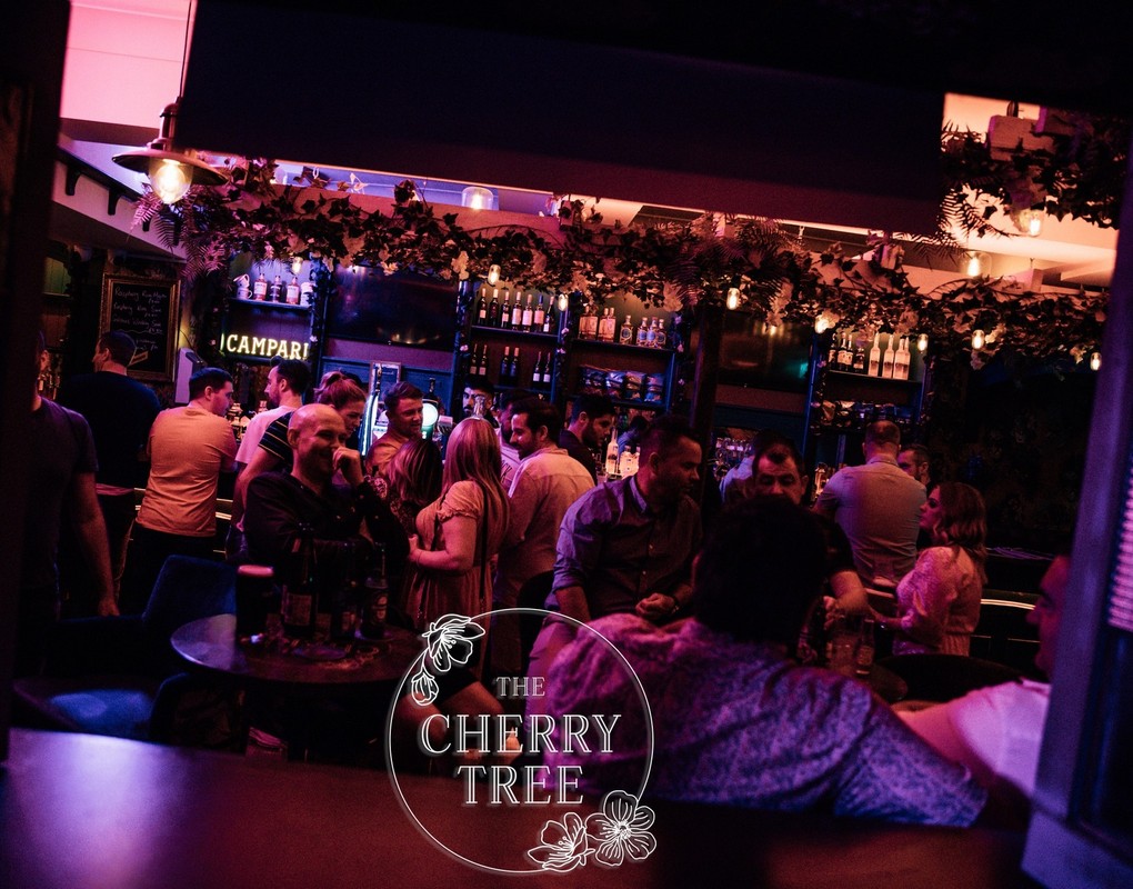 Cherry Tree 14